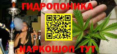стафф Кулебаки