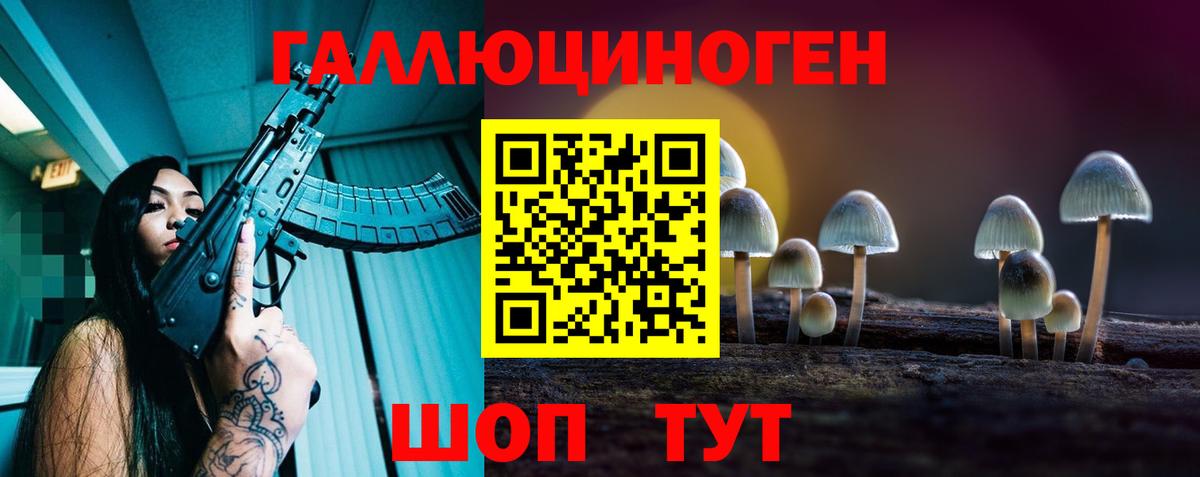 Галлюциногенные грибы мицелий  Вход с VPN  Ипатово  Галлюциногенные грибы Cubensis 